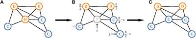 Cooperation and the social brain hypothesis in primate social networks